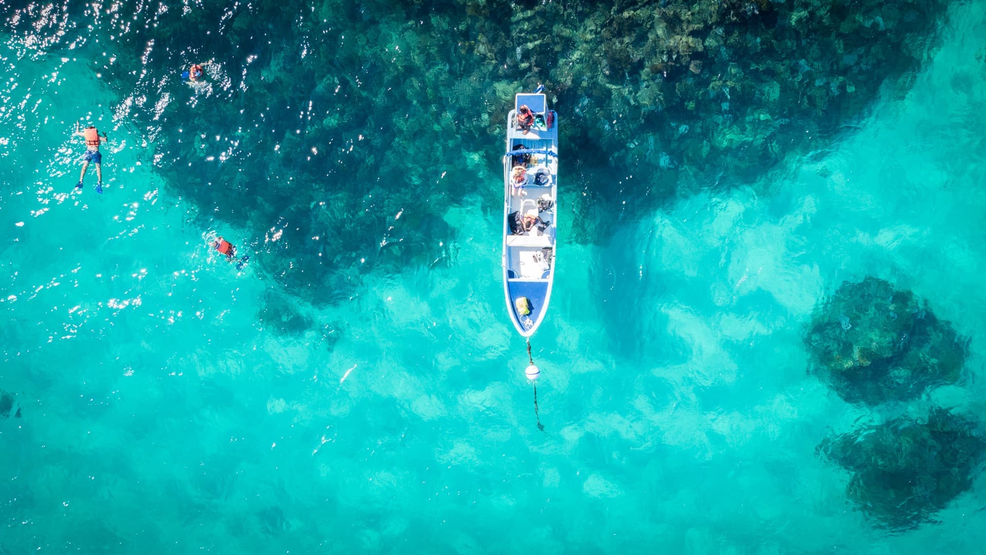 Sian Ka’an Discovery Tour Boca Paila Half Day Eco Experience (Shared)