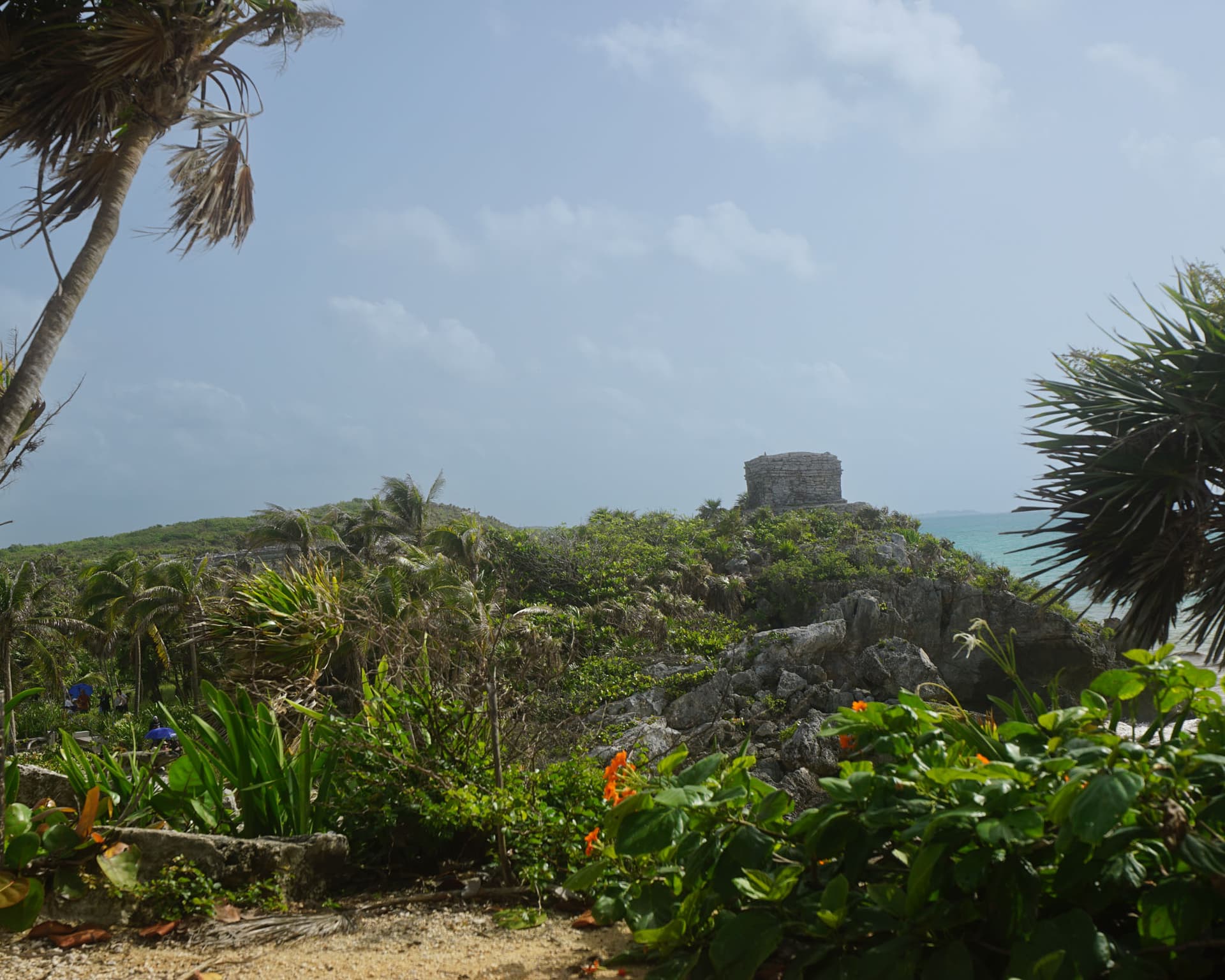 Tulum Jungle Adventure, Zipline & Cenote Experience (Shared)